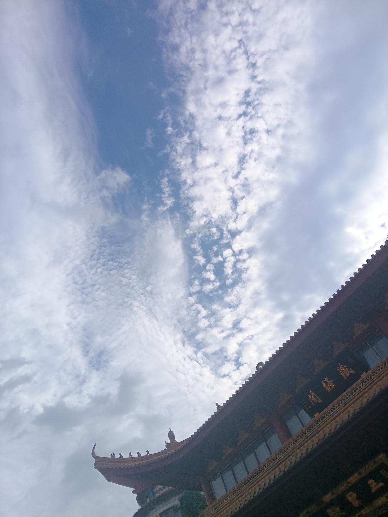 果然不出我所料，佛得角门将沃奇尼亚凭着出色表现，不仅有中国商人把他的母亲送到了美