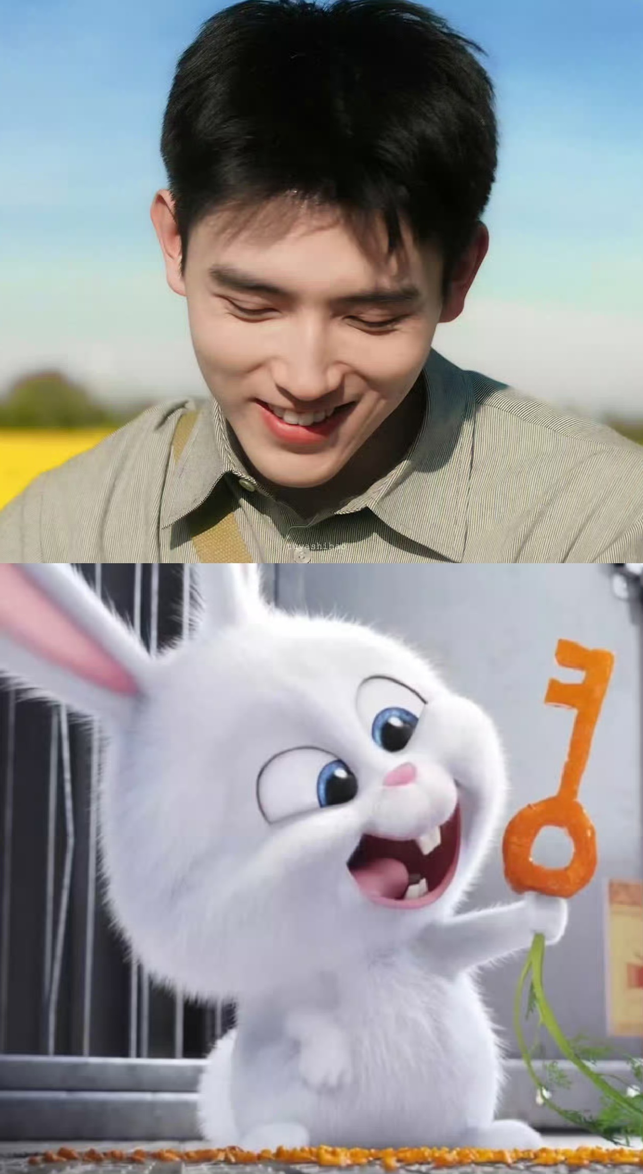 我跟你们说不清楚，我现在看放牧羊的眼神就像陈红看二猪 