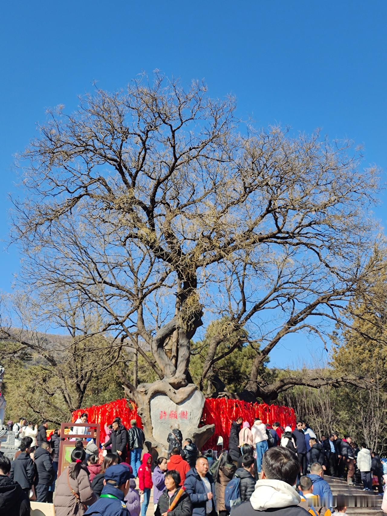 昨天到八大处新春文化庙会游玩，为了避开人流高峰期，晚点才到，但游人还是不少，八大