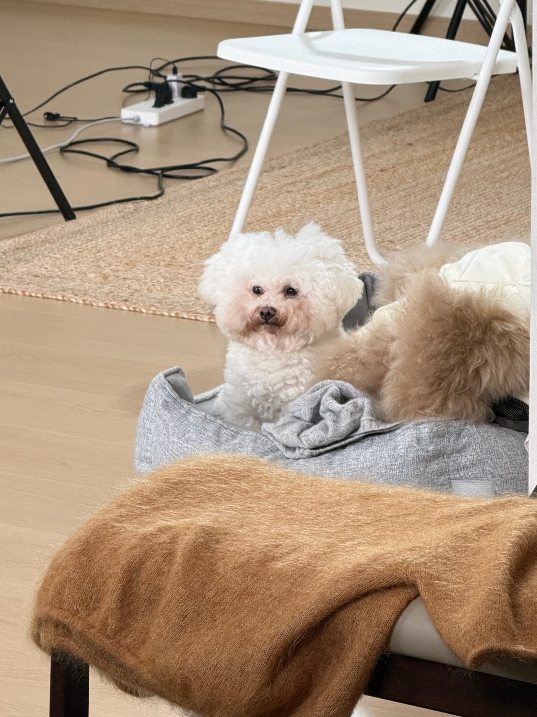 bobo间长大的小萝贝 ​​​