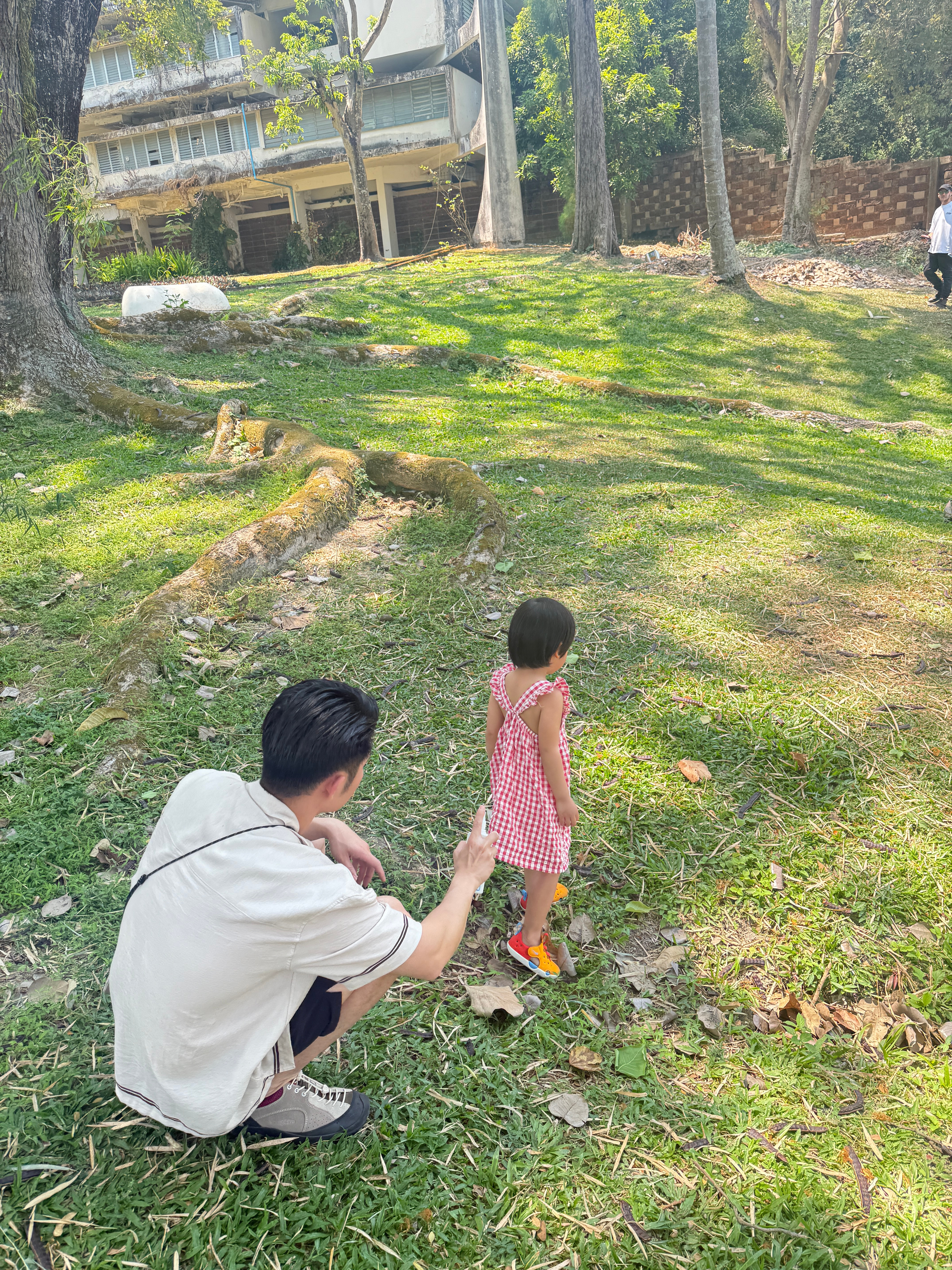 旅蛙好像在杀蟑螂（我们的索耶搬到vshop了）旅毛球清迈行