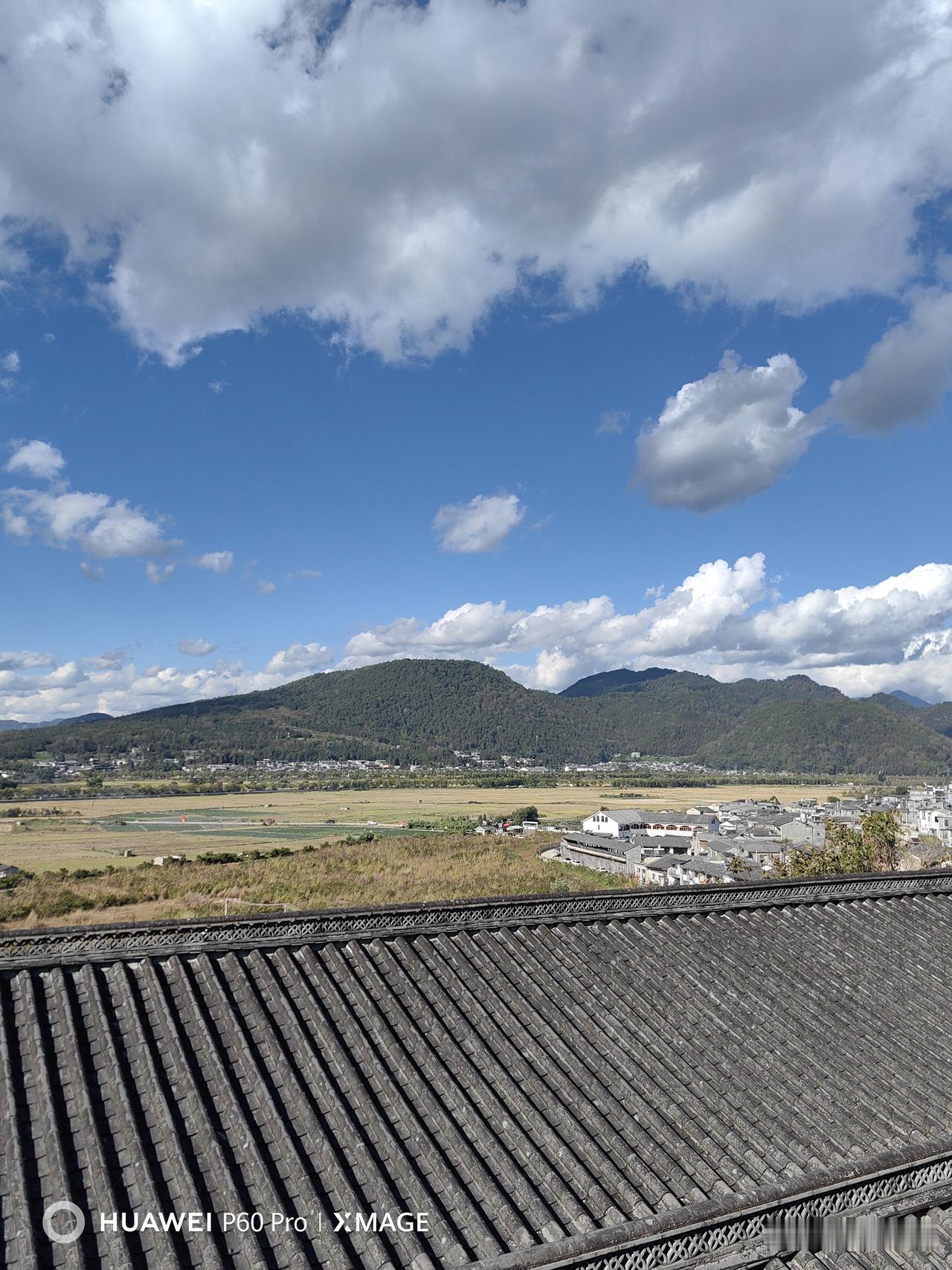 下联·疏疏密密岸边柳
 
“疏疏密密”以同构叠词对应上联，描摹河岸柳树的枝叶疏密