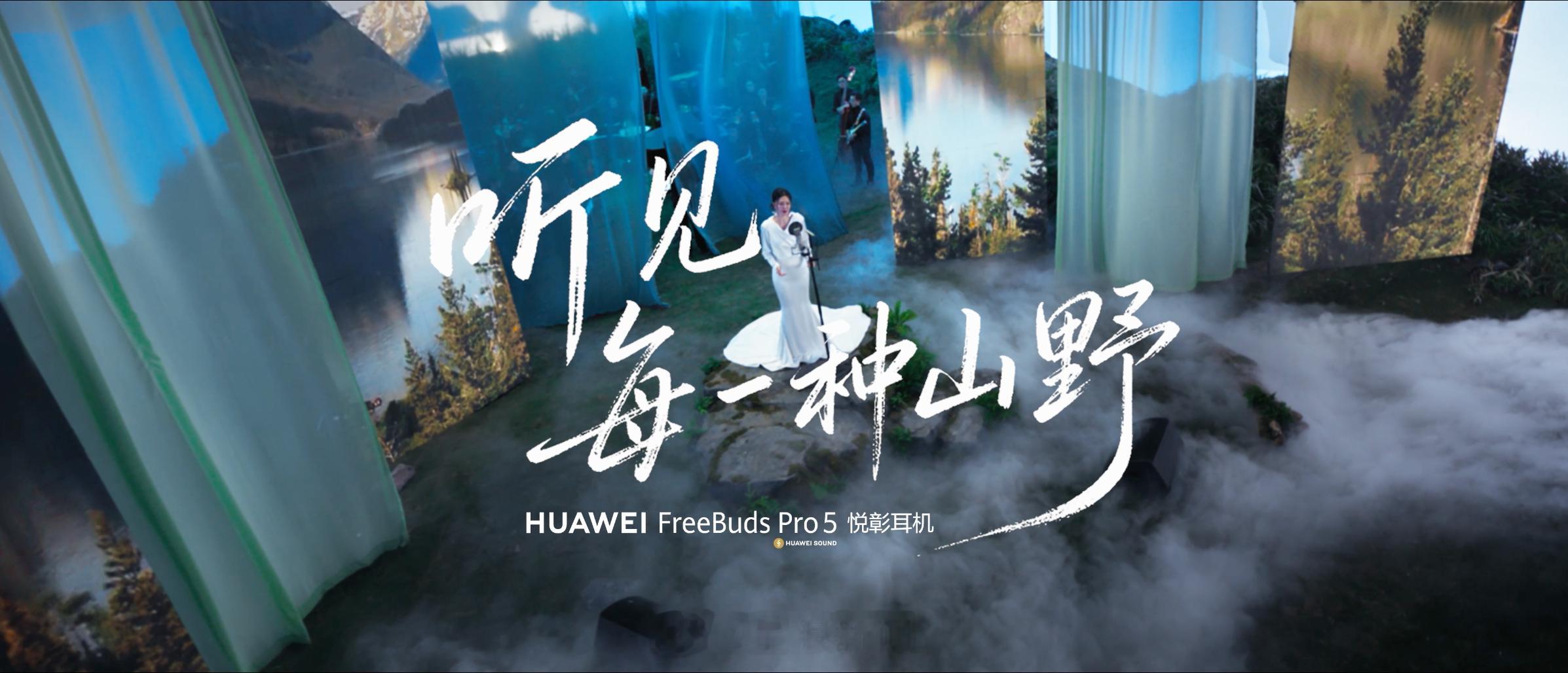 圈内都在传谭维维对音质要求极高，这次算是见识到了。面对40多种乐器混编的《向山野