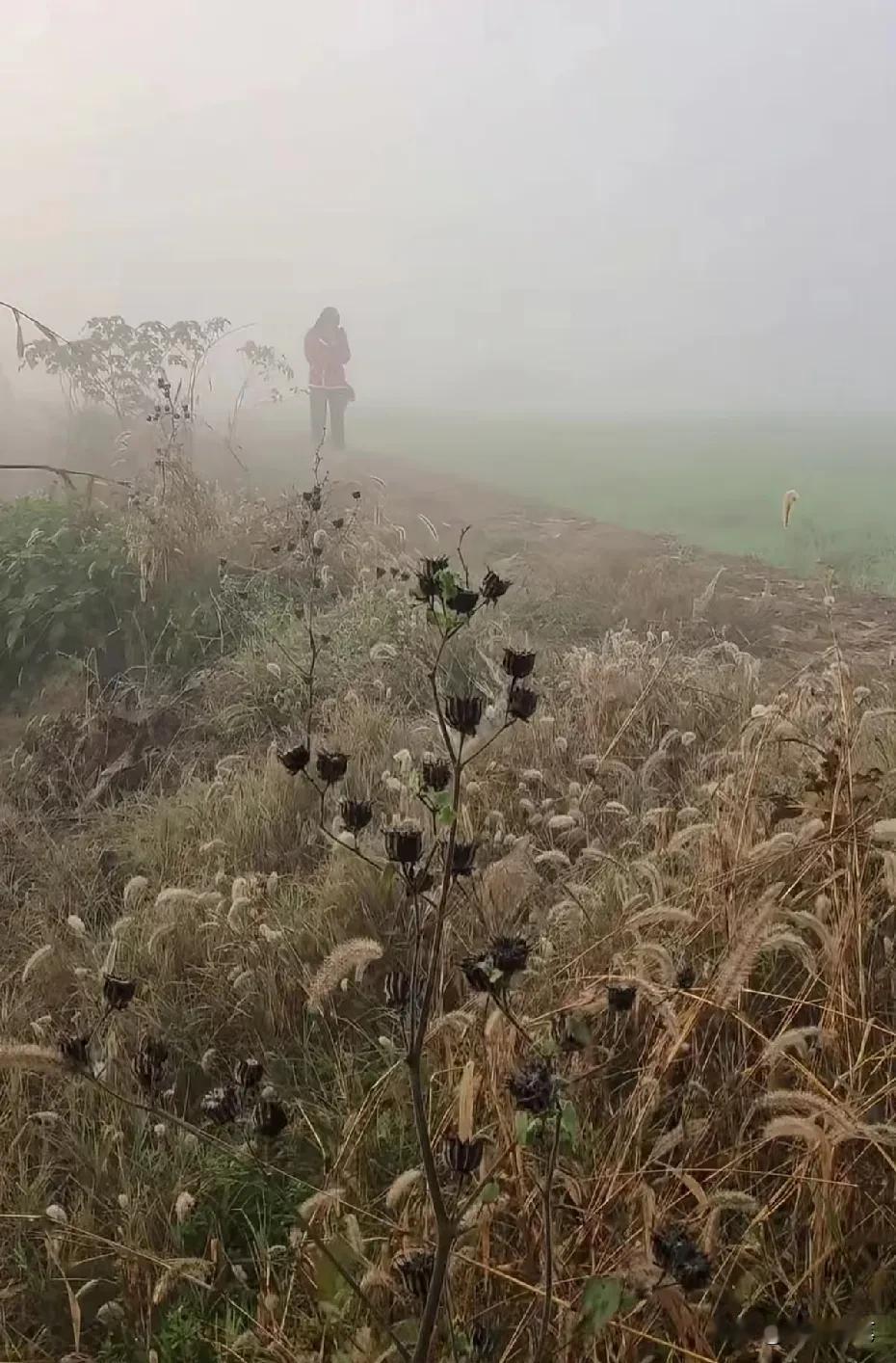 如果你遇到小时候的自己，他正在放学的路上往家里走，凭你现在的经验和阅历，你最想对