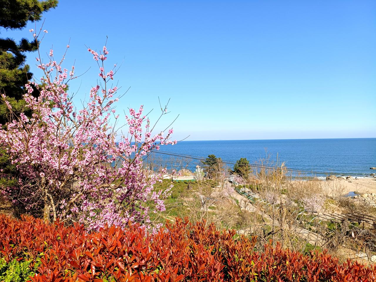 幸福其实往往不一定用金钱量化：
冬日暖阳
夏日清风
钻出地皮的小草
爬上墙头的蔷
