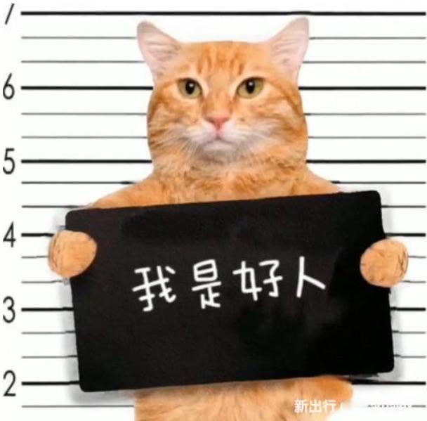 如何评价小米汽车SU7品牌的第一款车通常都是附有建立品牌形象，打开市场的重任，所