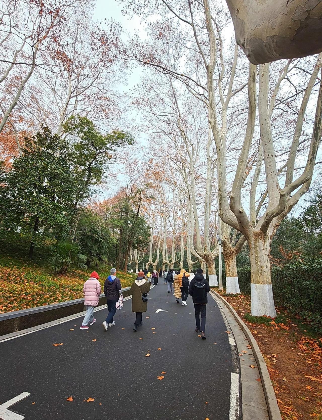 南京冬天比杭州冷