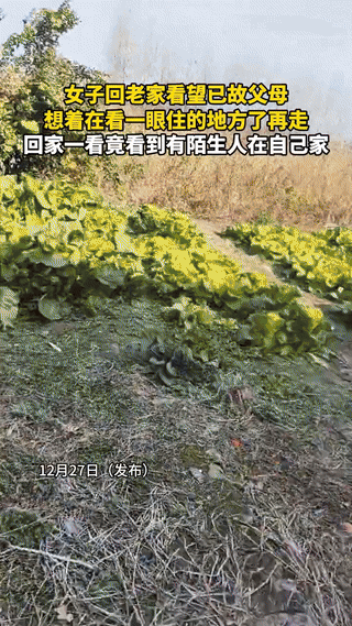 女子回老家给已故的父母上坟，临走之前，想再看一眼曾经住的房子，结果推开门，发现里