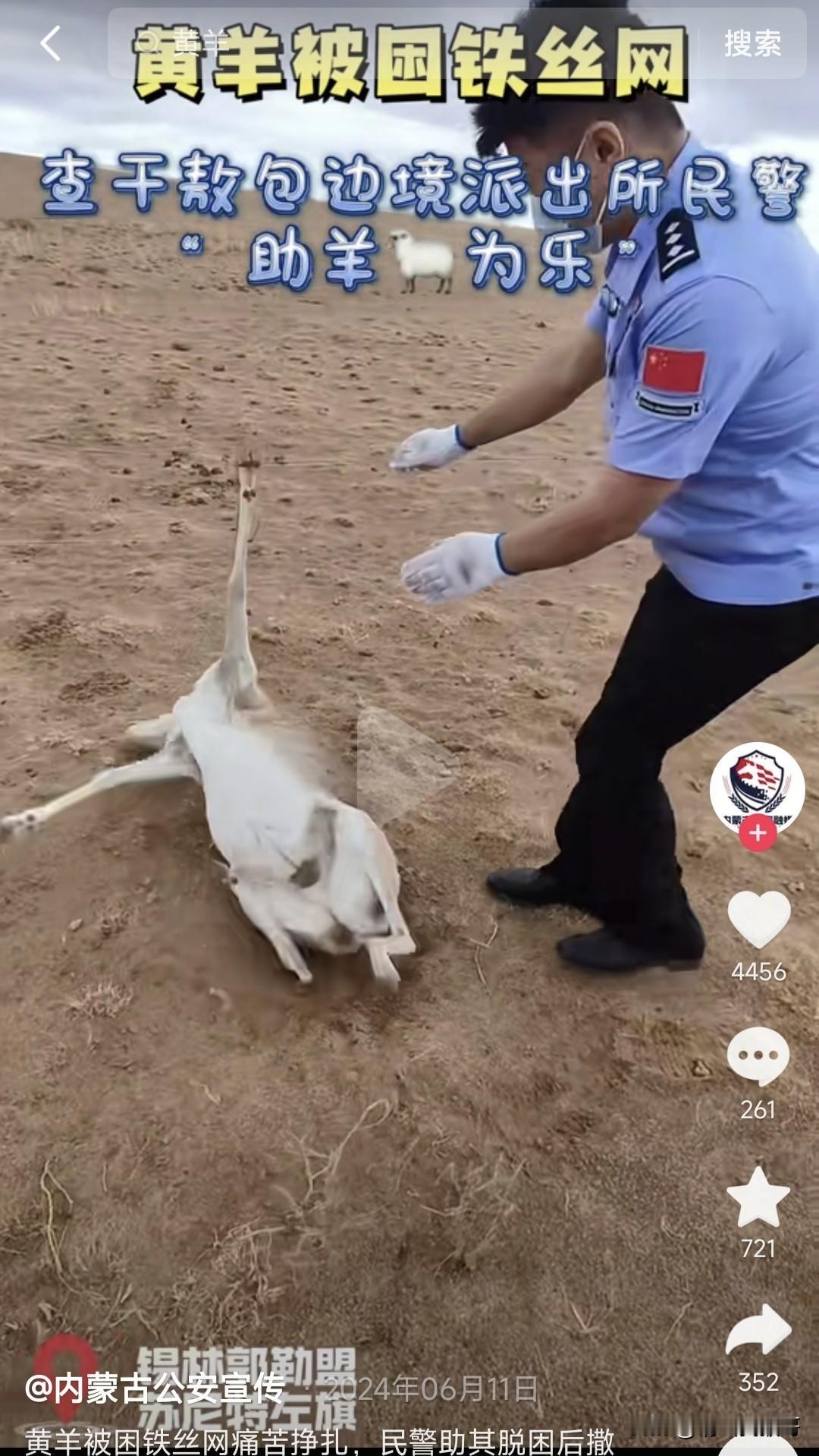 今天搜索“铁丝网”，无意中看到以下这几个新闻，防蚊防火我是没看到，困住了不少动物