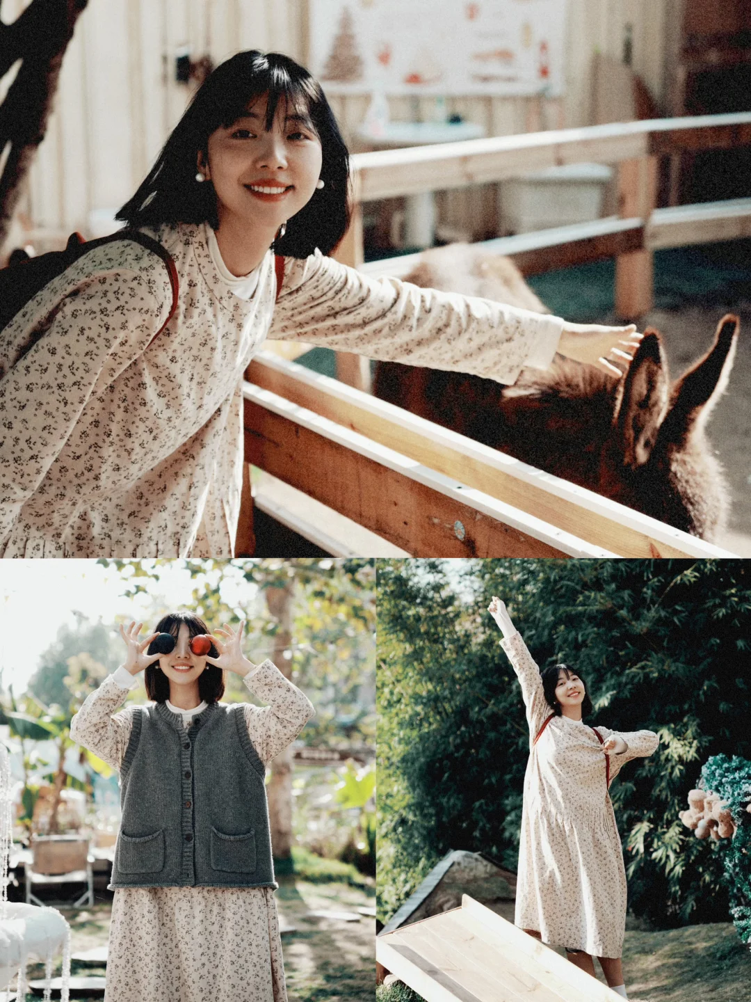胶片写真🎞️农场拍照太快乐啦！