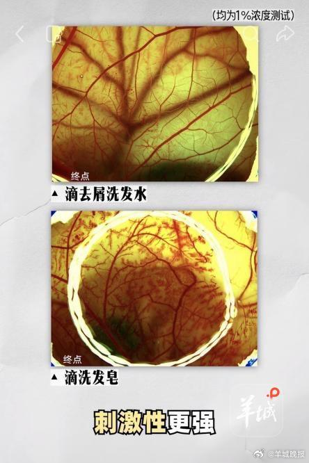 【#网红洗发皂吹草本防脱噱头实存隐患# ，多款样品未检出有效草本成分｜鱼眼·热点