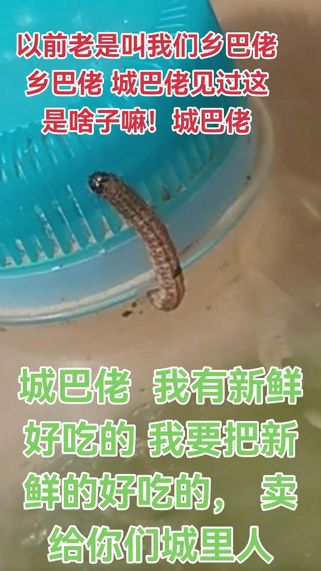 每天跟我涨知识 神奇动物在抖音 我要上热门儿🔥🔥 求官方大的流量