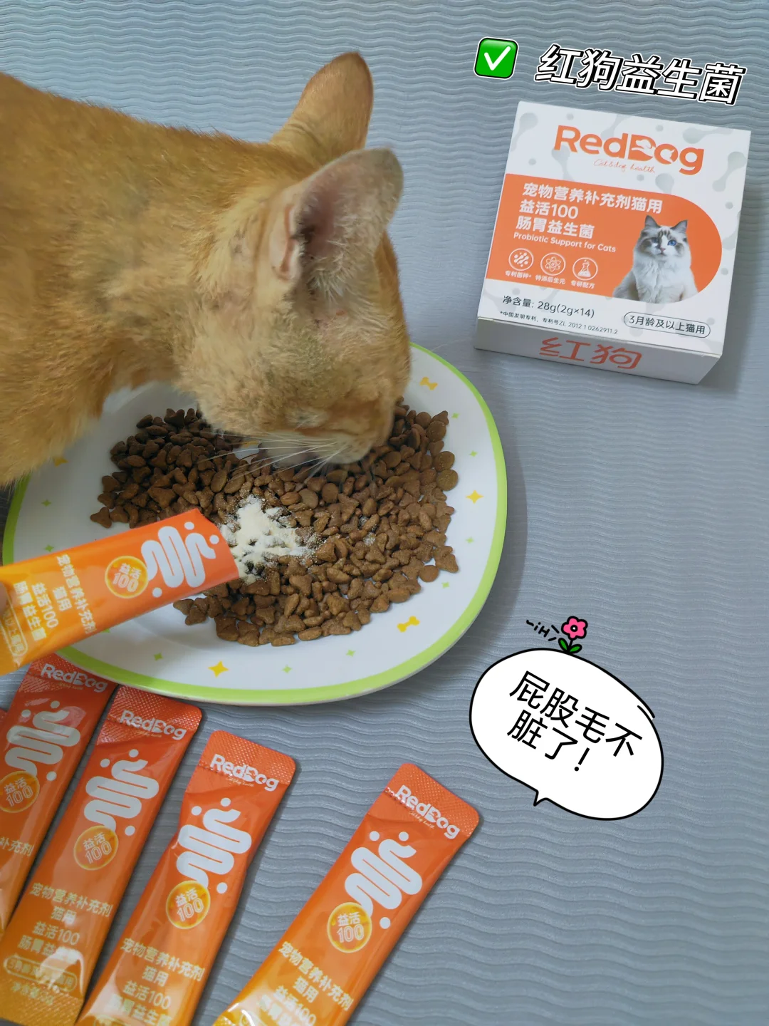 软便退散！修猫状态满分✨