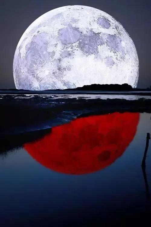 初冬的落日，是时光的温柔落款。
 
寒林渐瘦，残阳如血，余晖倾洒在斑驳的大地上，