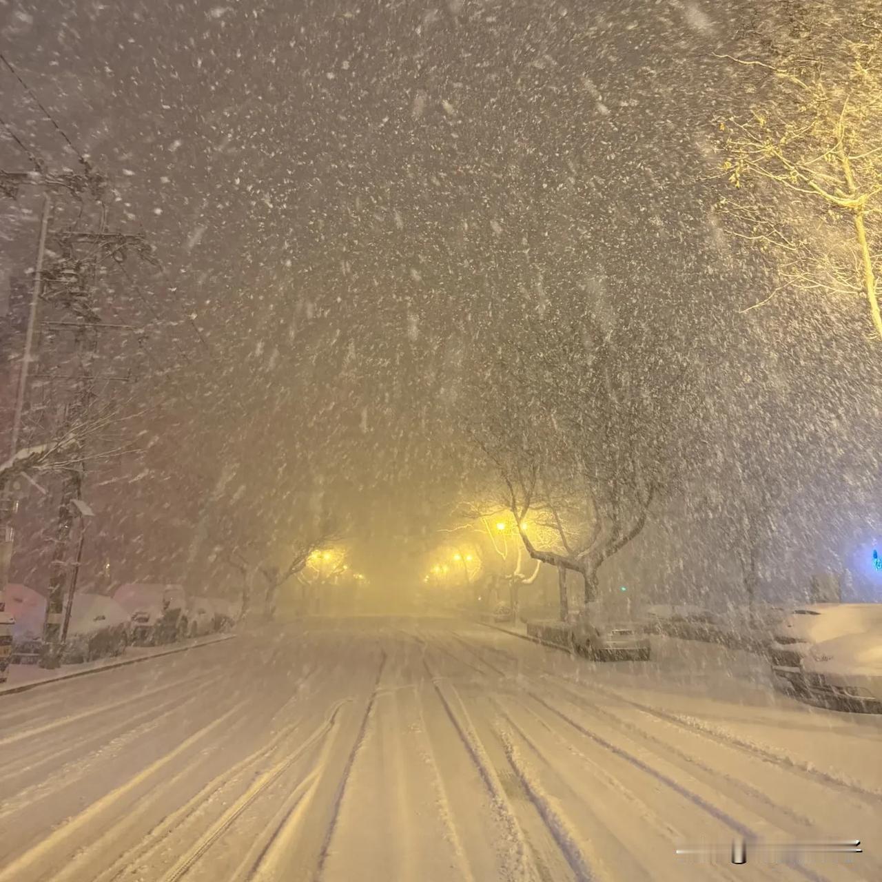 威海暴雪杀疯了！原来全靠“冷流雪”buff加持。
 
威海这暴雪比东北还猛，根本