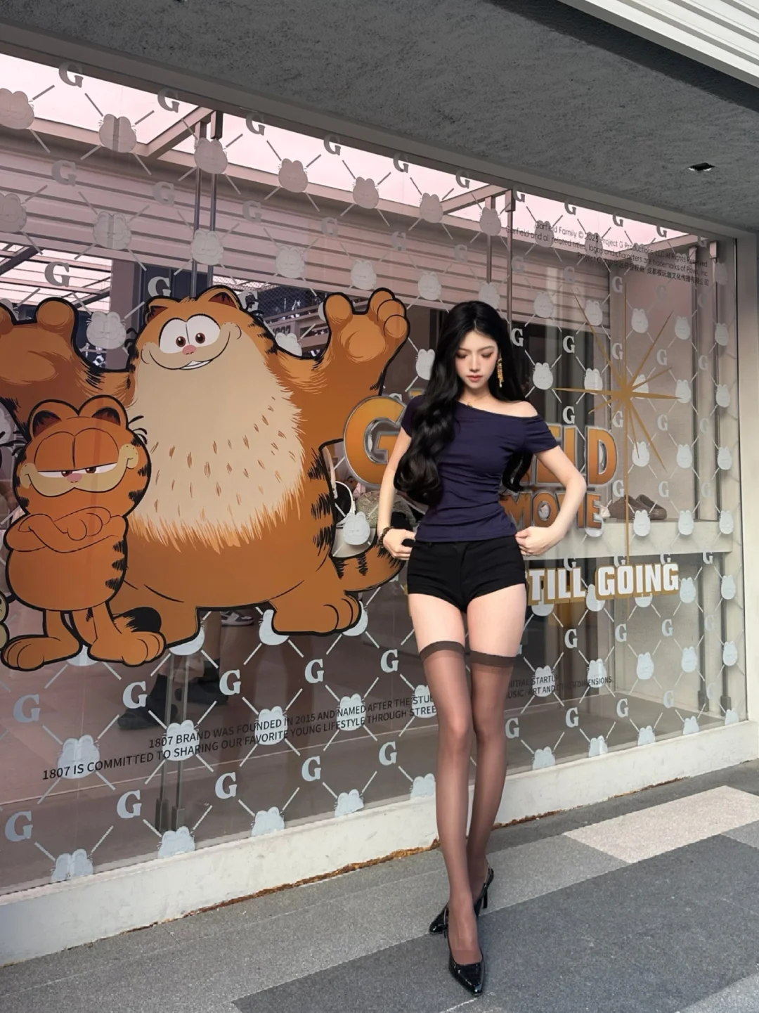 嘿嘿 加菲猫🐱