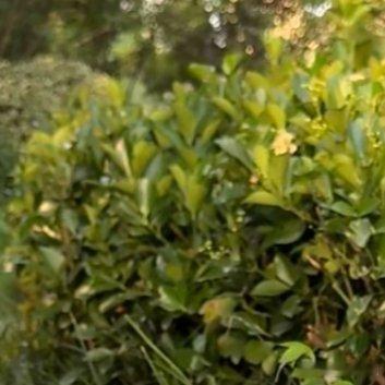 ‎阳光‎信用每日一善每日一善很多时候我们不是输给了能力，而是输给了半途而废。路是