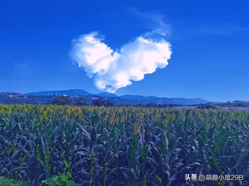 “把文学当作最好的庄稼来种”，此语着实妙不可言。就拿宁夏西吉县来说，这里宛如文学
