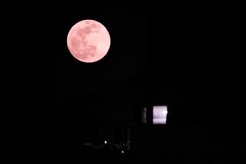 今年最后一次“超级月亮”要来了！12月5日凌晨，年度第二大满月将现身夜空。专家说