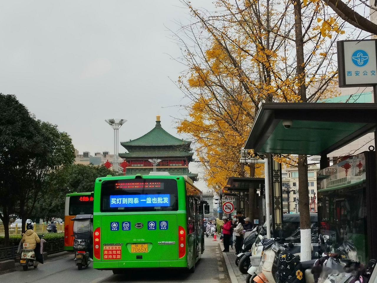 快来钟楼边上欣赏银杏吧，这些被银杏树点缀的街道，带你步入一个金黄色的梦幻世界……