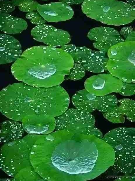 5月2日，假期的清晨，心情格外畅快。窗外淅淅沥沥的细雨，好似在倾诉着对春天的不舍