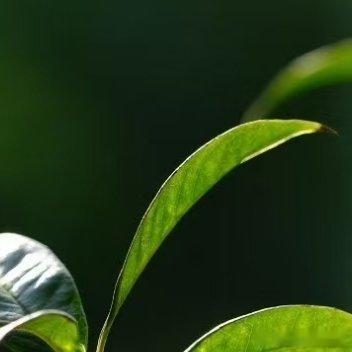 每日一善☁️每日一善 我们总在感叹，这个世界变化太快，成熟不是看你的年龄有多大，
