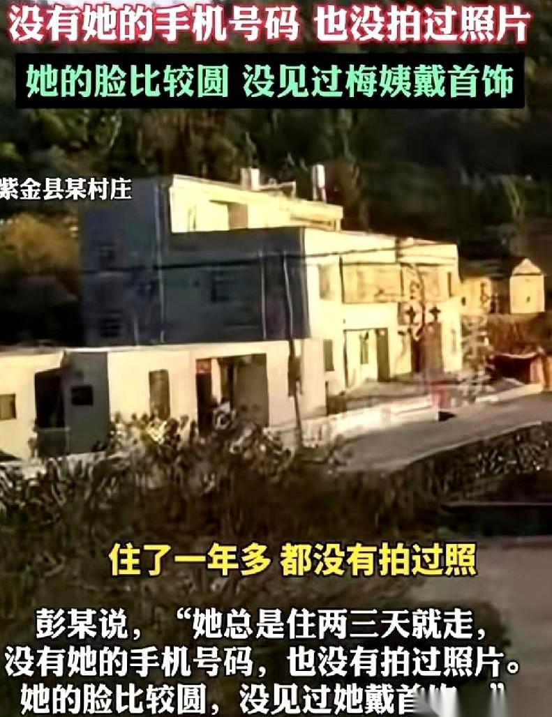 看到梅姨男朋友那段话，我后背的汗毛 “唰” 一下就立起来了。

梅姨有很多让人觉