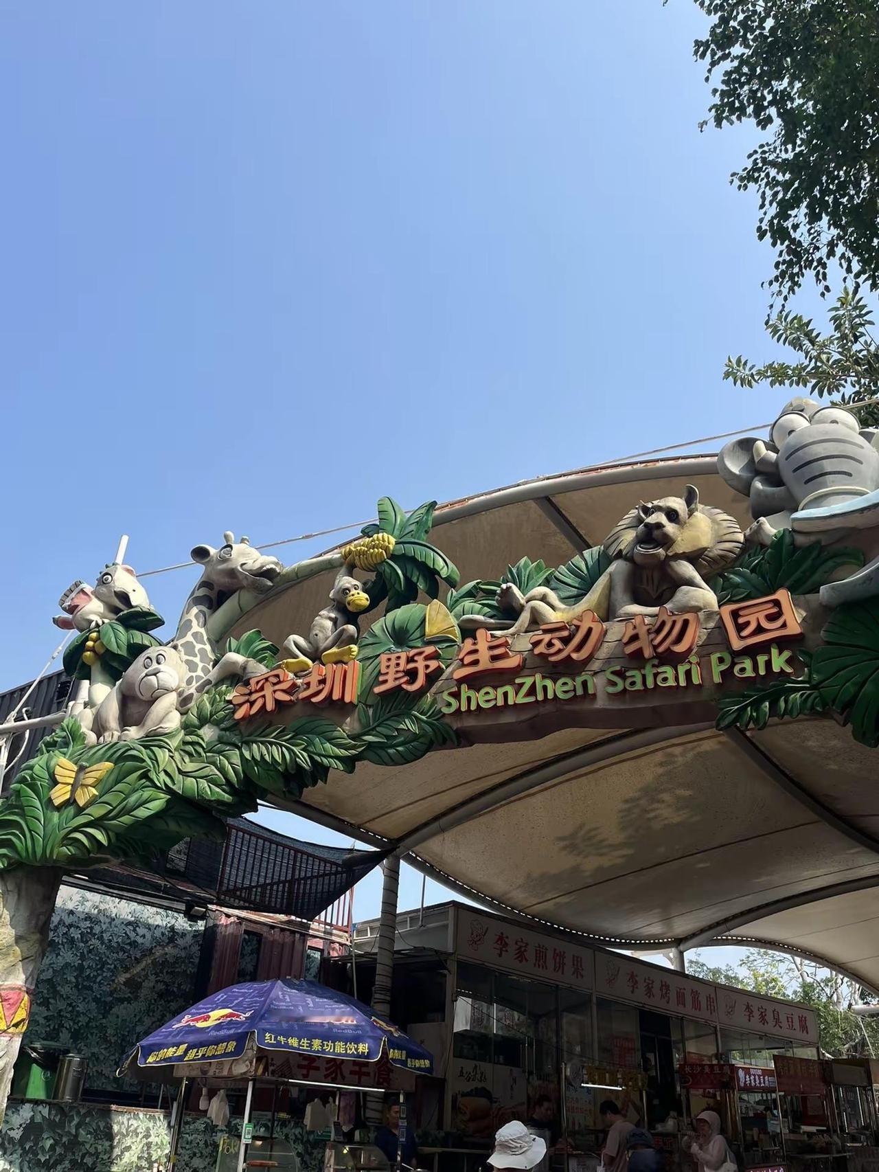 深圳野生动物园 记录旅游足迹实景拍摄 深圳周末好去处 深圳周末遛娃好去处推荐 深