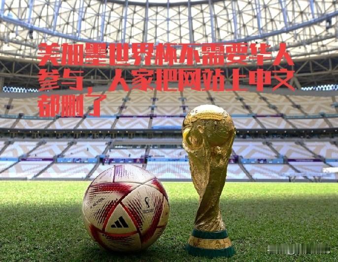 世界足联看来没把中国当回事，官方网站直接删除中文，这简直就是西方法西斯主义，不听