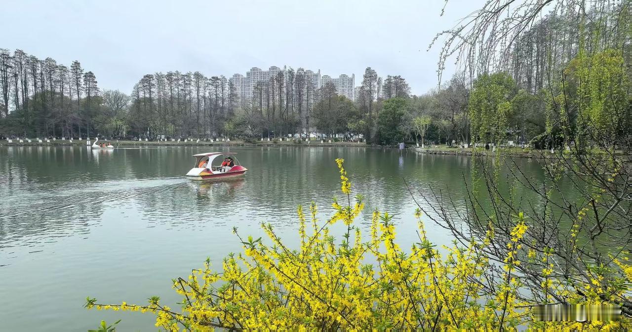 公园美丽景随拍安庆菱湖公园