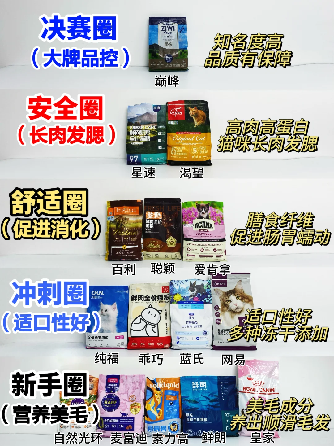 选对猫粮轻松养猫！教你好粮吃出健康喵~