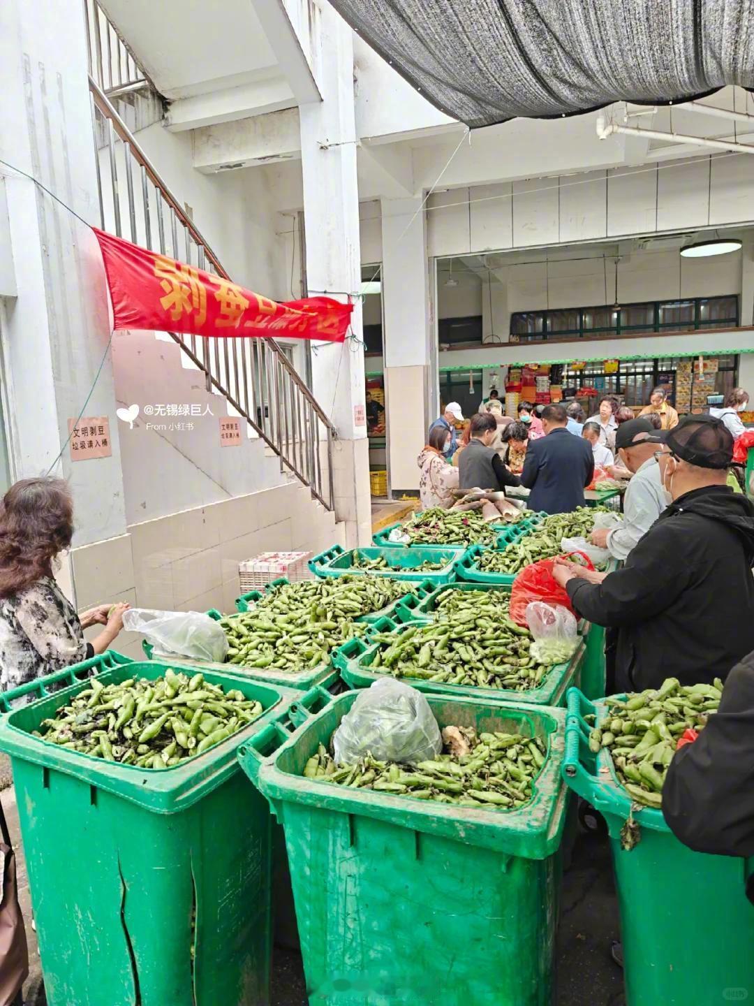 苏州一市场回应禁止剥蚕豆【苏州一市场禁止剥蚕豆引发热议，网友称有人吃蚕豆后会引发
