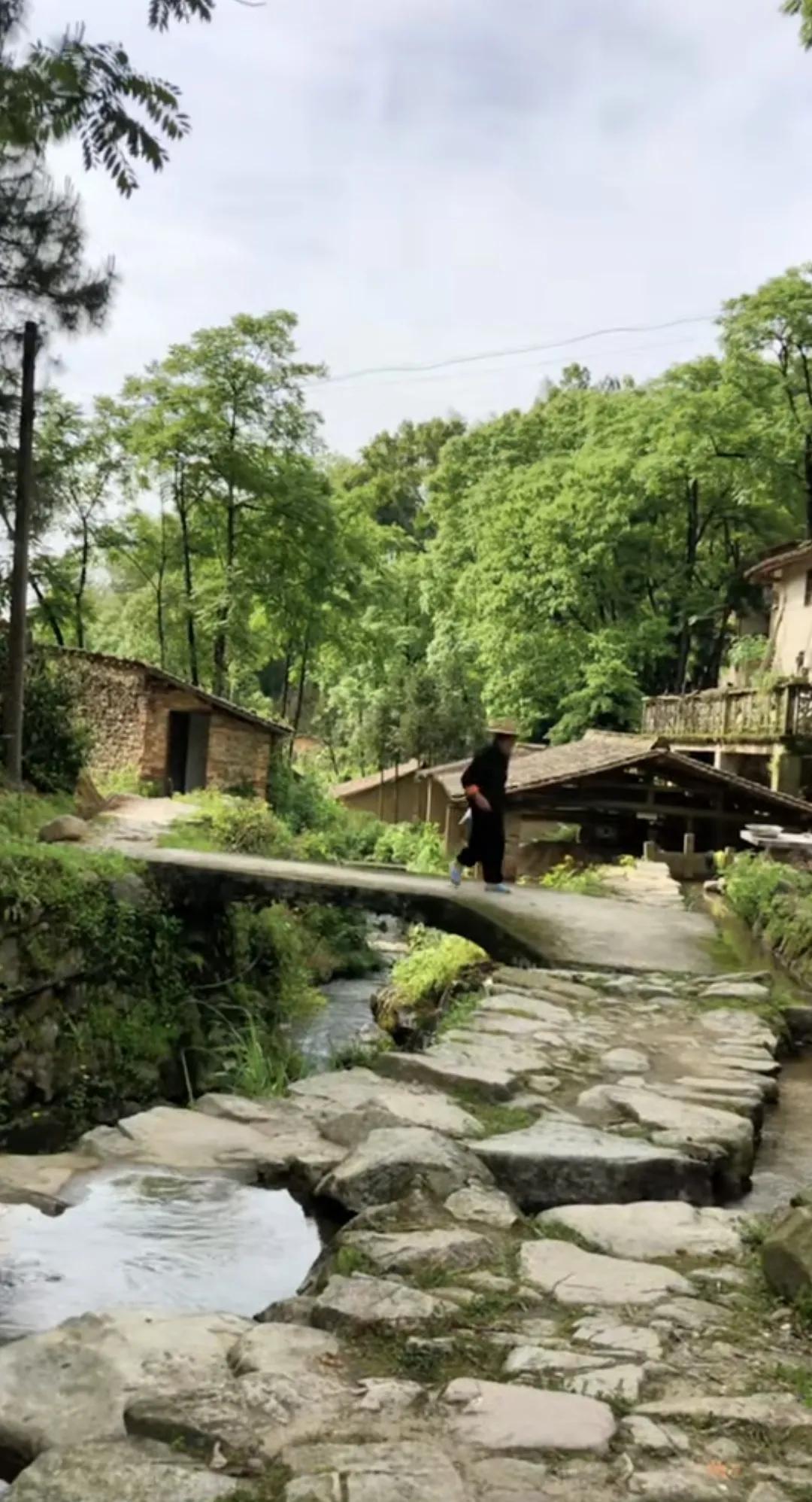 无论走过多少路，看过多少景，故乡依然是我们心中最美的景风景 故乡风景如诗