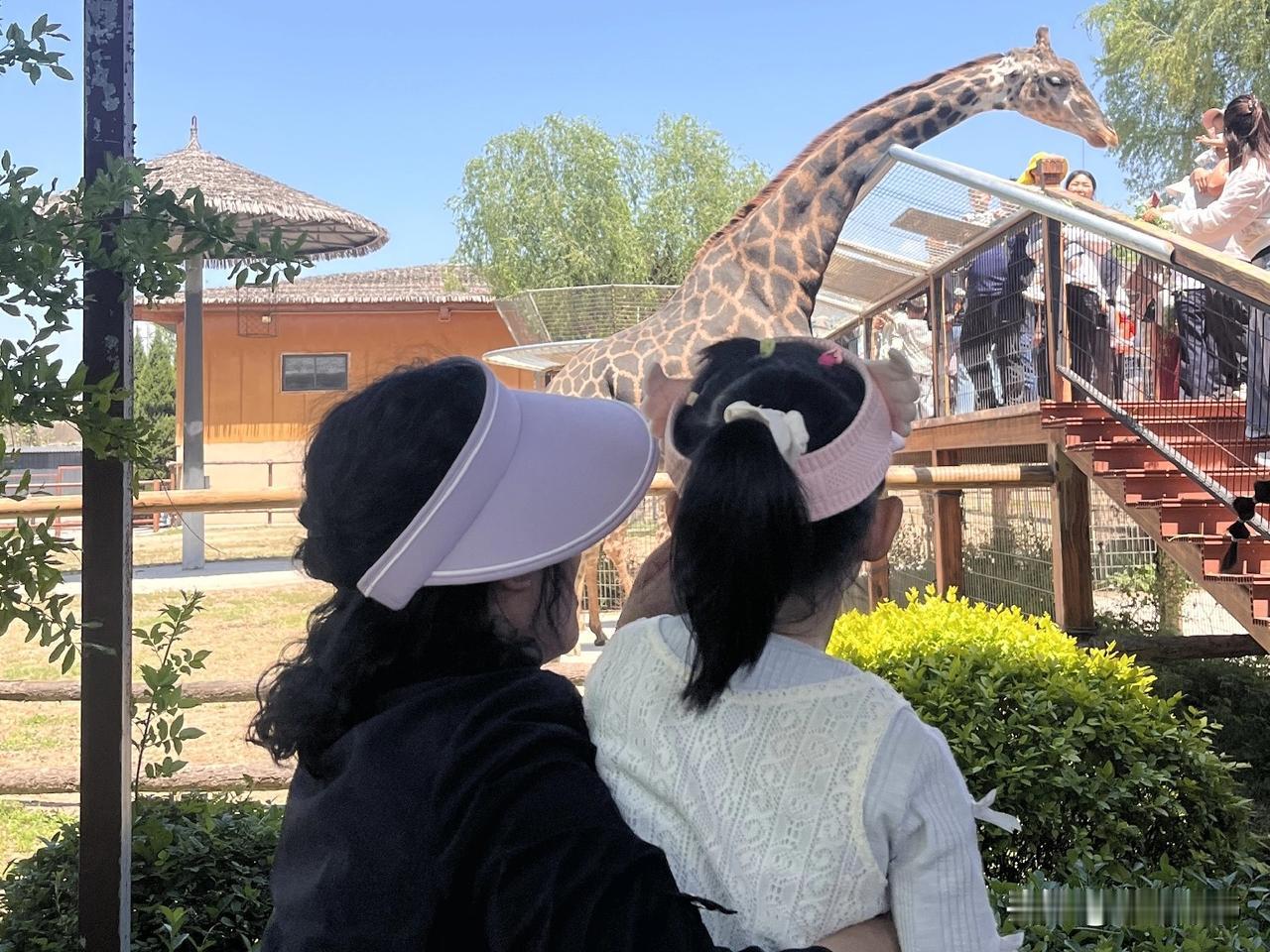 我当了很多年婆婆，才认同这句话的：婆媳关系不需要赢，只需要脱身。
婆媳之间遇到了