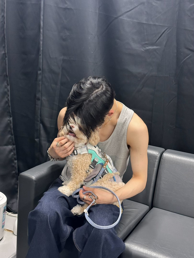西村力 爱我的猪猪，我细腻的猪猪，我温柔的猪猪，我呆萌的猪猪，我最好的猪猪，我淡