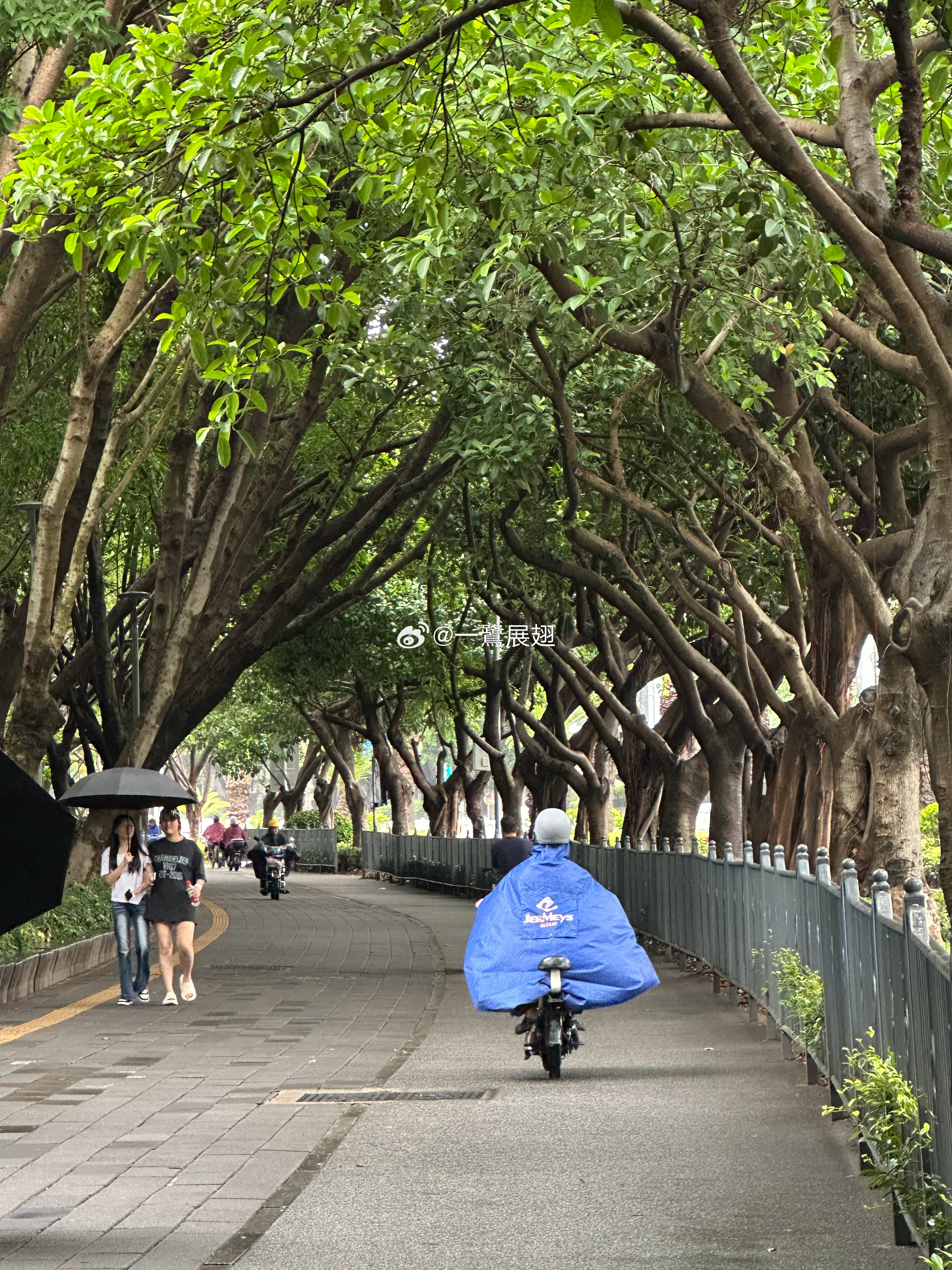 到底是春天还是夏天，说清楚[裂開]怎么一阵阵凉意侵袭不断呢