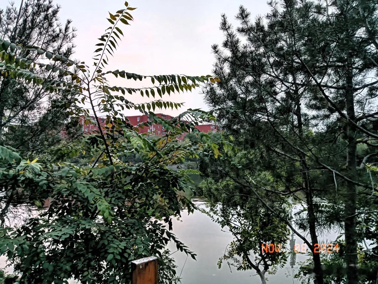 🎊火热来袭！这里是视觉的盛宴，是创意的狂欢！每一张图都是一个故事，每一次按下快