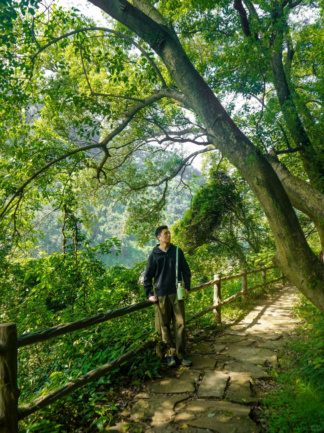 离开内卷❗被这一抹秋日的绿意狠狠治愈住了