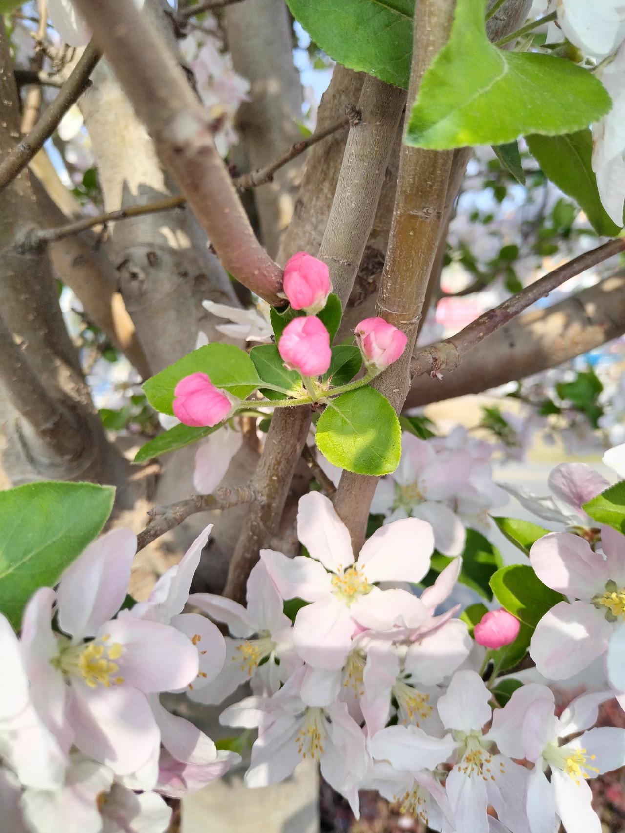 【趣联联趣】
上联：春深情可待
下联：？
【一字千金】
《宿运河边待友兄归》
夜