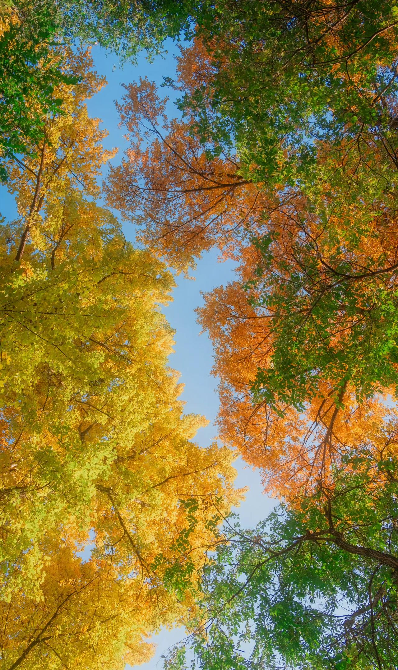 妈妈的拼多多评价里全是她的喜好！
一博主翻妈妈的拼多多评价，每条都写着“孩子爱喝
