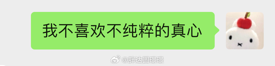理论上讲不应该事事追求极致的纯粹 