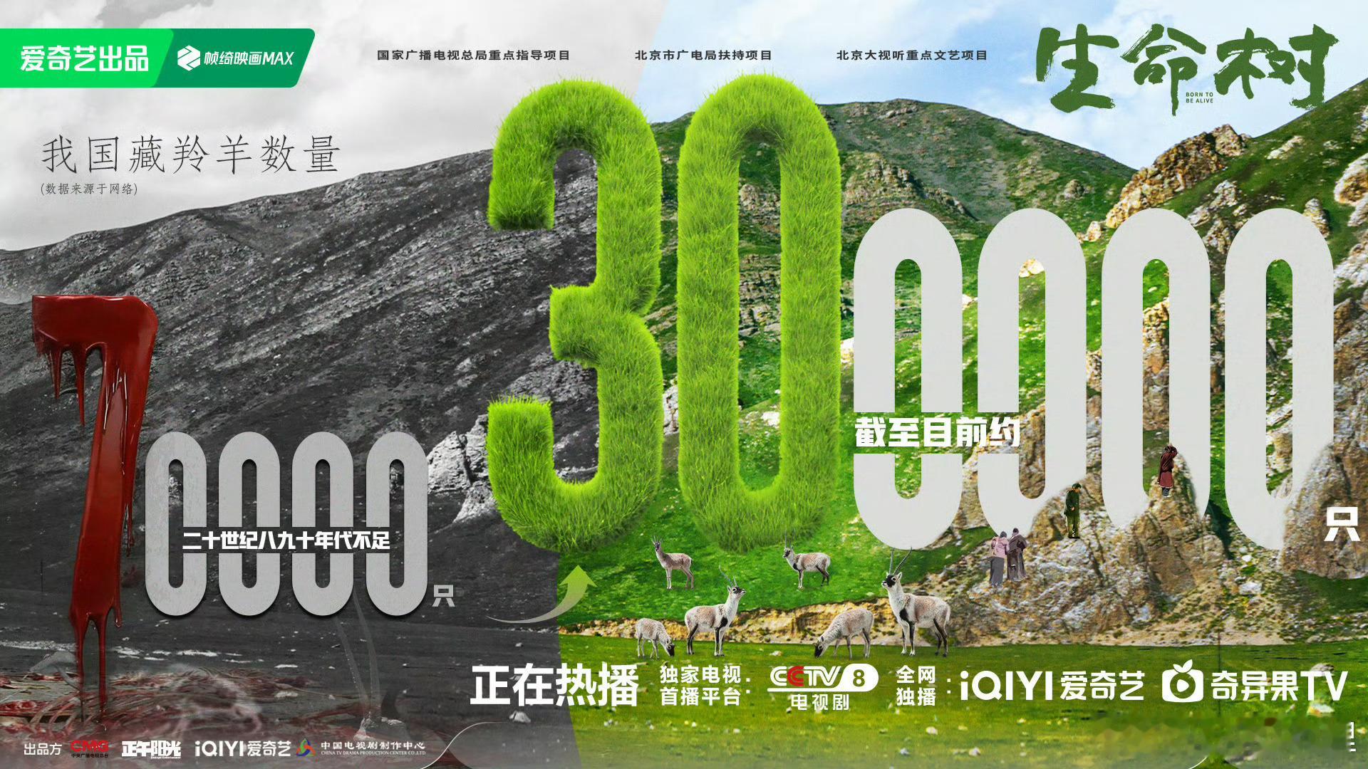 7万到30万他们用了30年真的好难这件事太伟大了生命树真的意义重大 