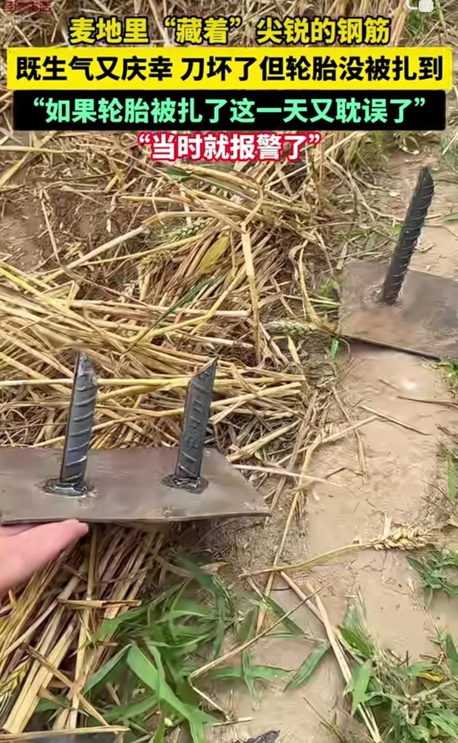 人家收割机来收麦子，却有人在麦地里放大钉子，你说缺德不缺德？
看到这个铁板上焊的