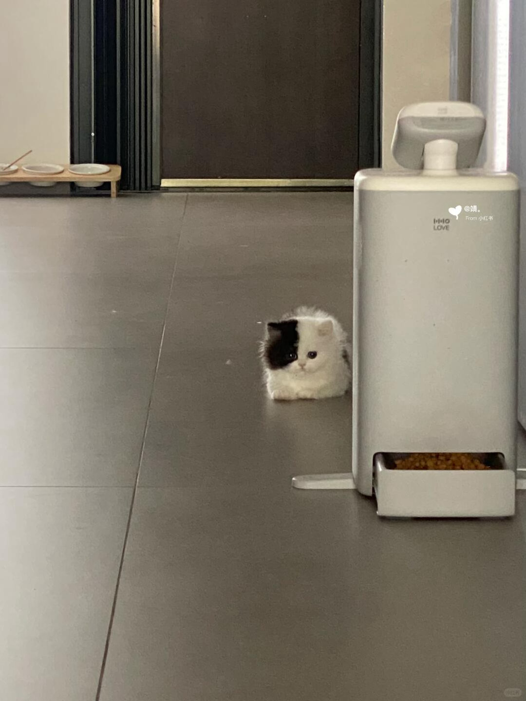 little 咪 ​​​