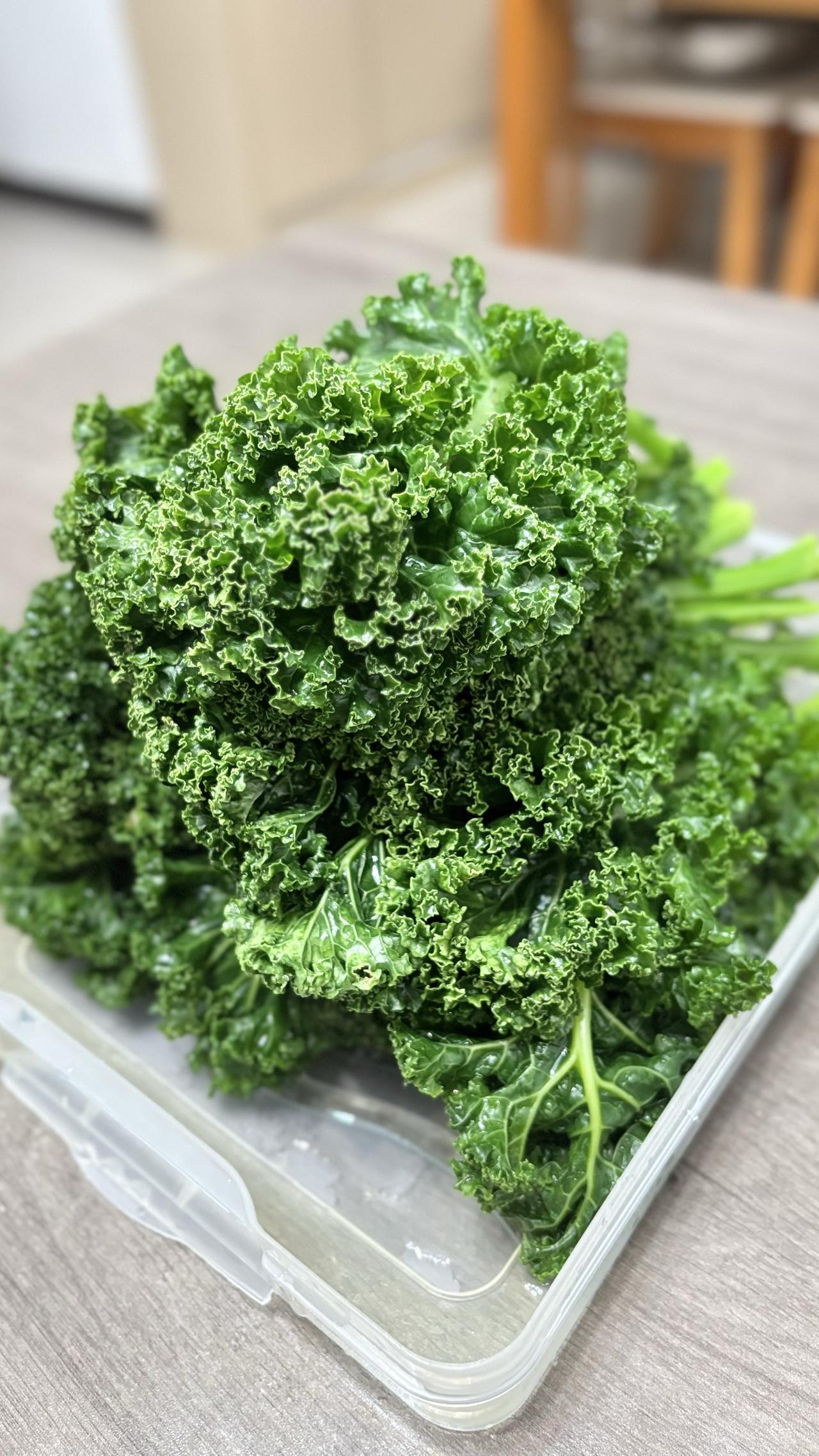 第一次种羽衣甘蓝很成功，就是有点多啊……