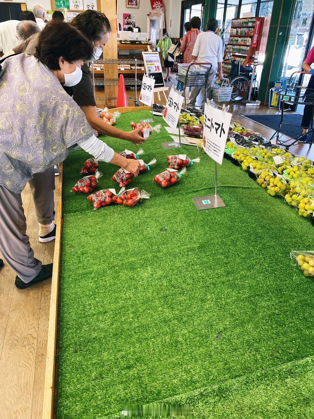 一大早菜就没多少了换一家买番茄🍅 ​​​