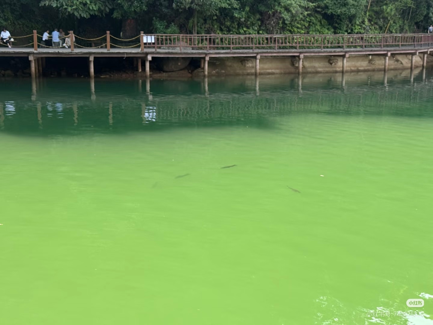 原来贵州避暑可以这么野贵州避暑玩法新意拉满，既能穿梭溶洞探秘地下清凉，又可登高俯