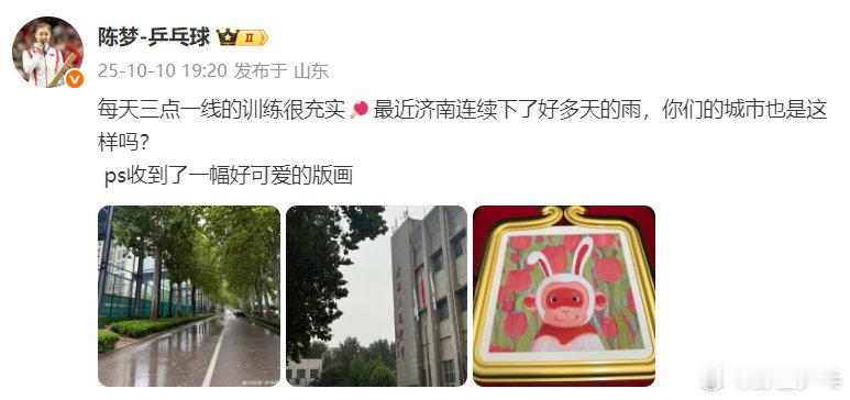 陈梦说每天三点一线的训练很充实发博：每天三点一线的训练很充实🏓最近济南连续下了