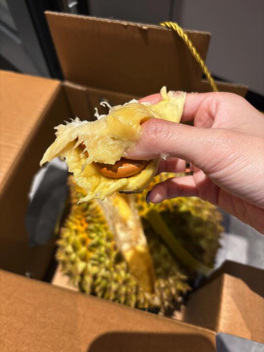 山姆这一季的榴莲是来报恩的吧！！！🥹XL绝了