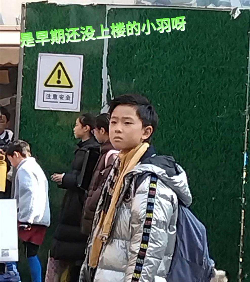 赵俊羽早期长这样